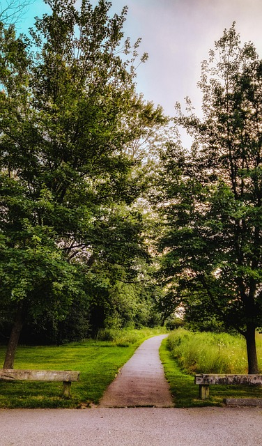 Free Park Path photo and picture
