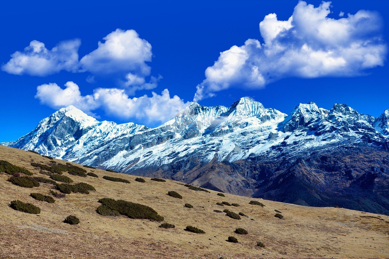 Meer Dan 70 Gratis Afbeeldingen Van Sikkim Vaardigheidsuniversiteit En Meer Dan 70 Gratis Afbeeldingen Van Sikkim Vaardigheidsuniversiteit En