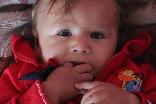 Free Cute Baby Baby Boy photo and picture