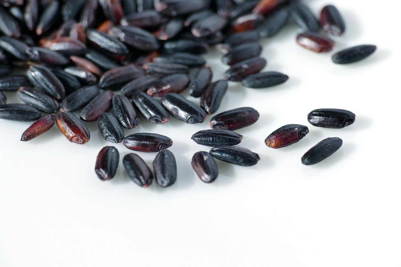 Venere Rice Black Whole Free Photo On Pixabay Venere Rice Black Whole Free Photo On Pixabay