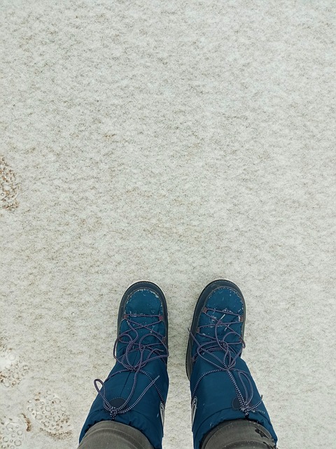 Free Snow Winter photo and picture