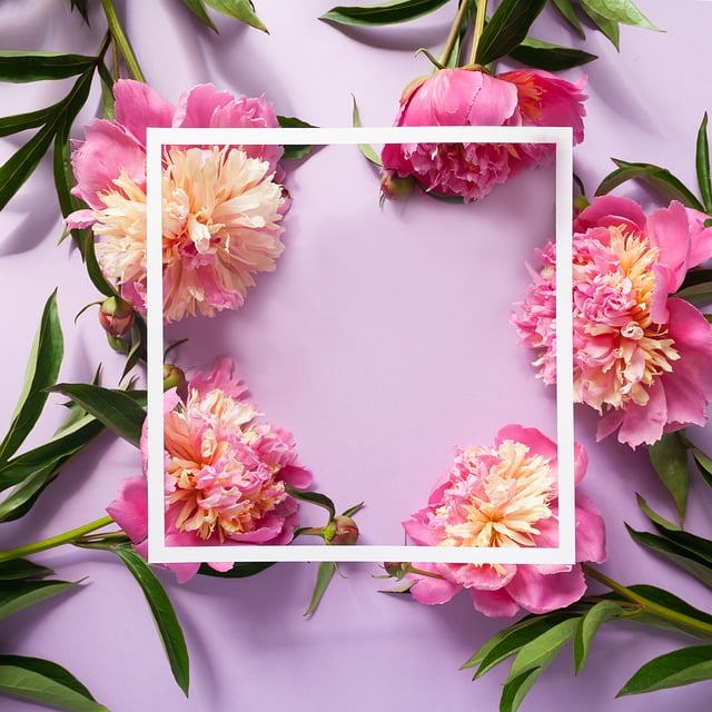 Free frame border nature vector