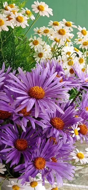 Sommer, Blumen, Die Natur, Garten, Flora
