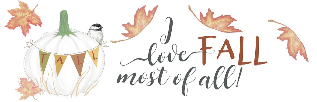 Free Fall Autumn photo and picture