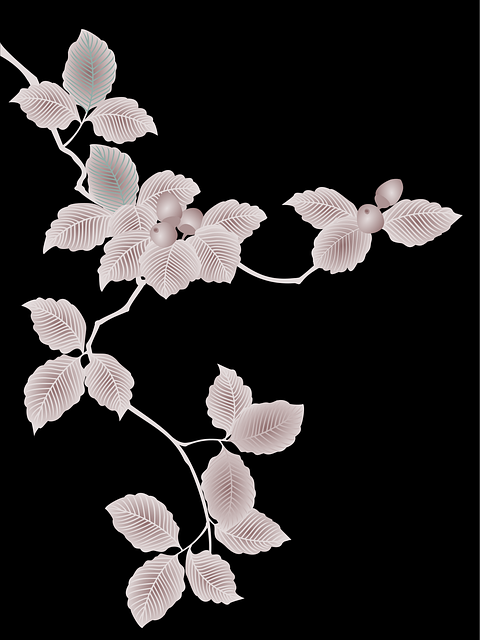 Free oak acorn leaves vector
