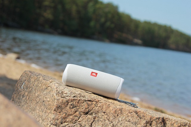 Free Jbl Column photo and picture