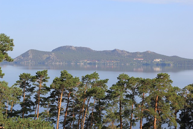 Free Nature Forest photo and picture