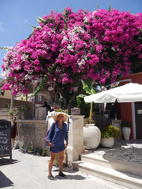 Free Flowers A Woman photo and picture