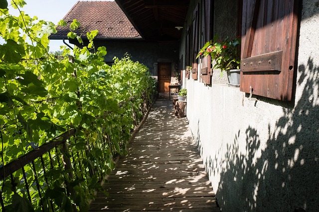 Free Path Balcony photo and picture