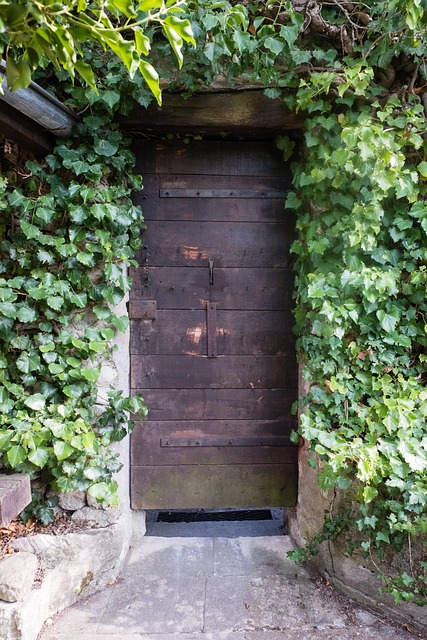 Free Door Old photo and picture