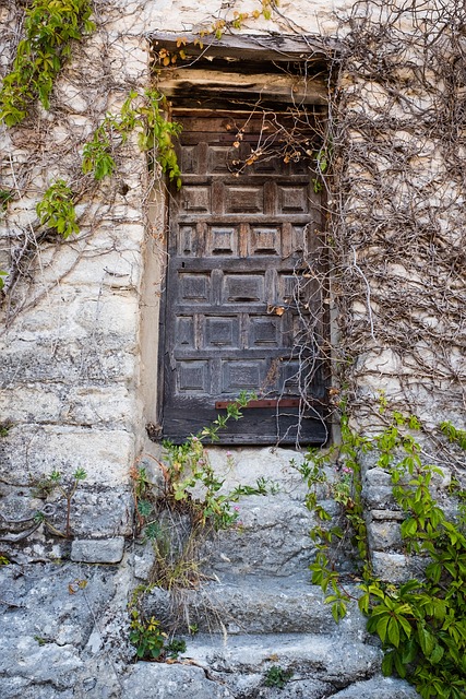 Free Door Wood photo and picture