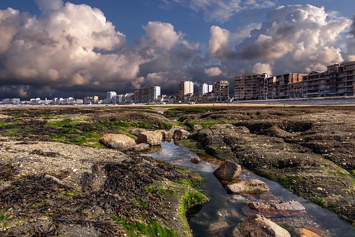 Free Beach Sea photo and picture