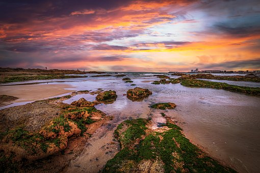 Free Beach Sea photo and picture