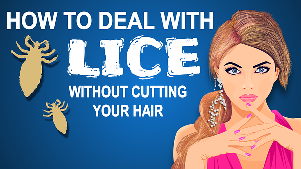Free Lice Hair vector and picture