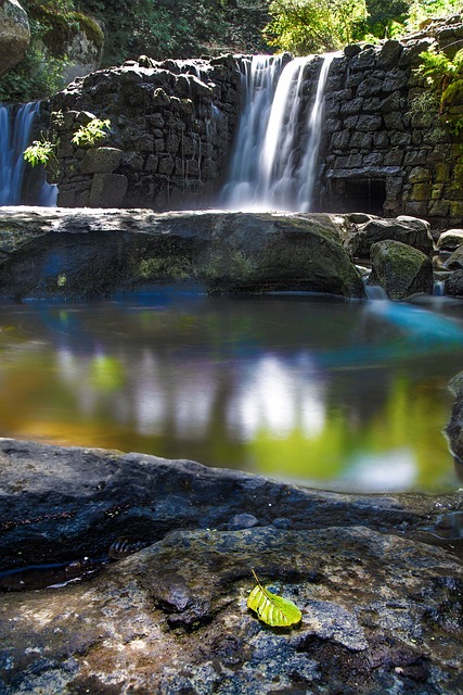 Free Waterfall River photo and picture
