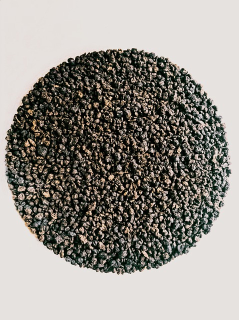 Free Black Seed Tea Seeds photo and picture