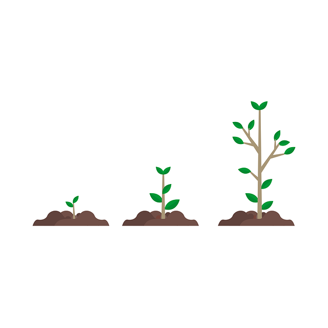 Free plants growth botany illustration