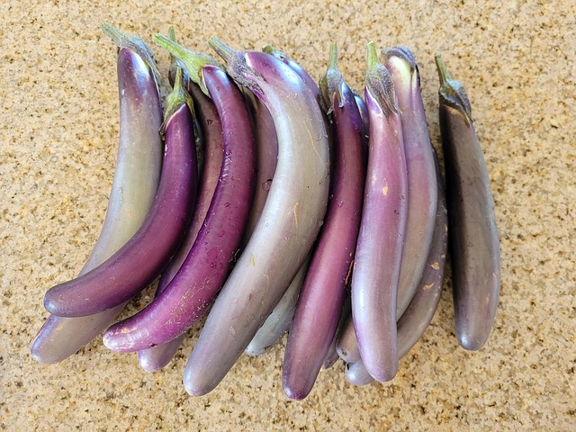 Free Eggplants Japanese photo and picture