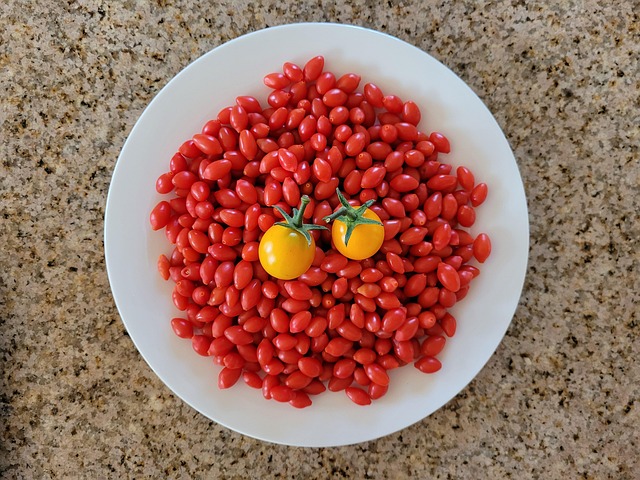 Free Goji Fruits photo and picture