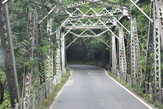 Free Bridge Ooty photo and picture