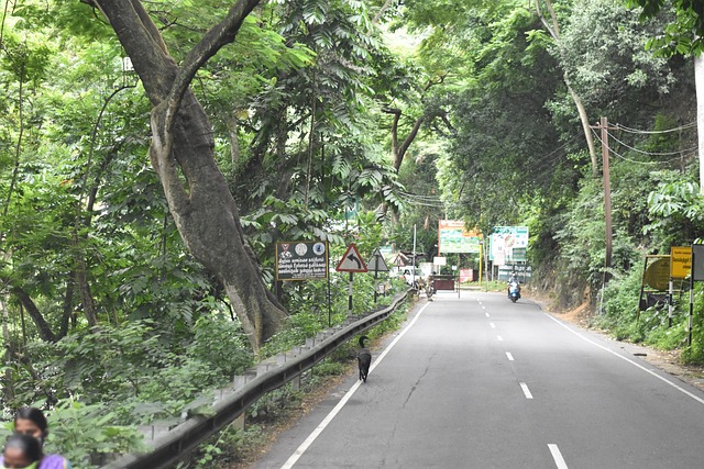 Free Nature Ooty photo and picture