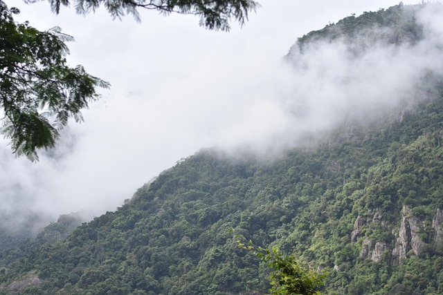 Free Nature Ooty photo and picture