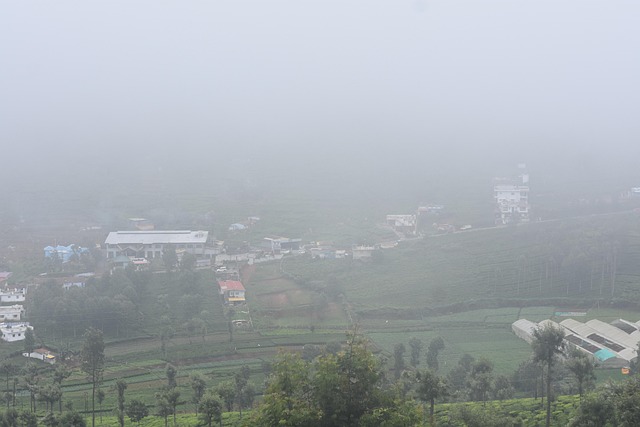 Free Nature Ooty photo and picture