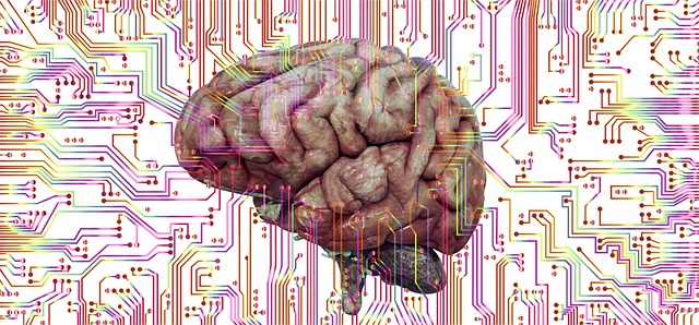 Free Brain Think photo and picture