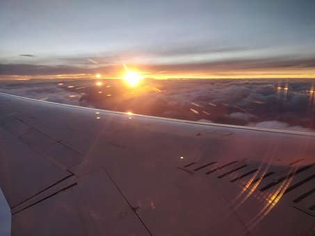 Free Plane Wing photo and picture