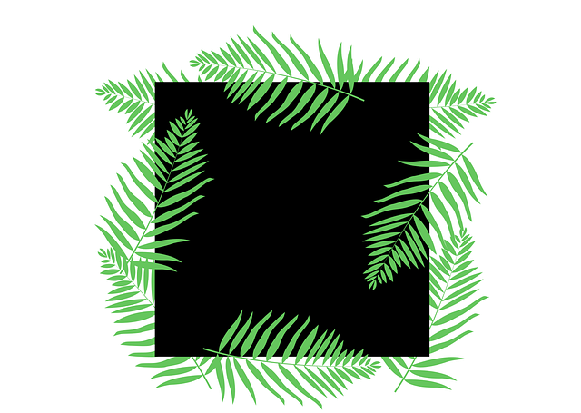 Free leaves nature foliage vector