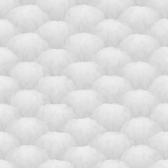 Free Cotton Fluff illustration and picture