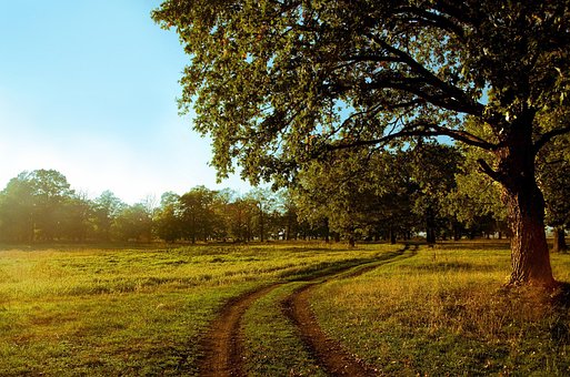 Free Nature Hd Wallpaper photo and picture