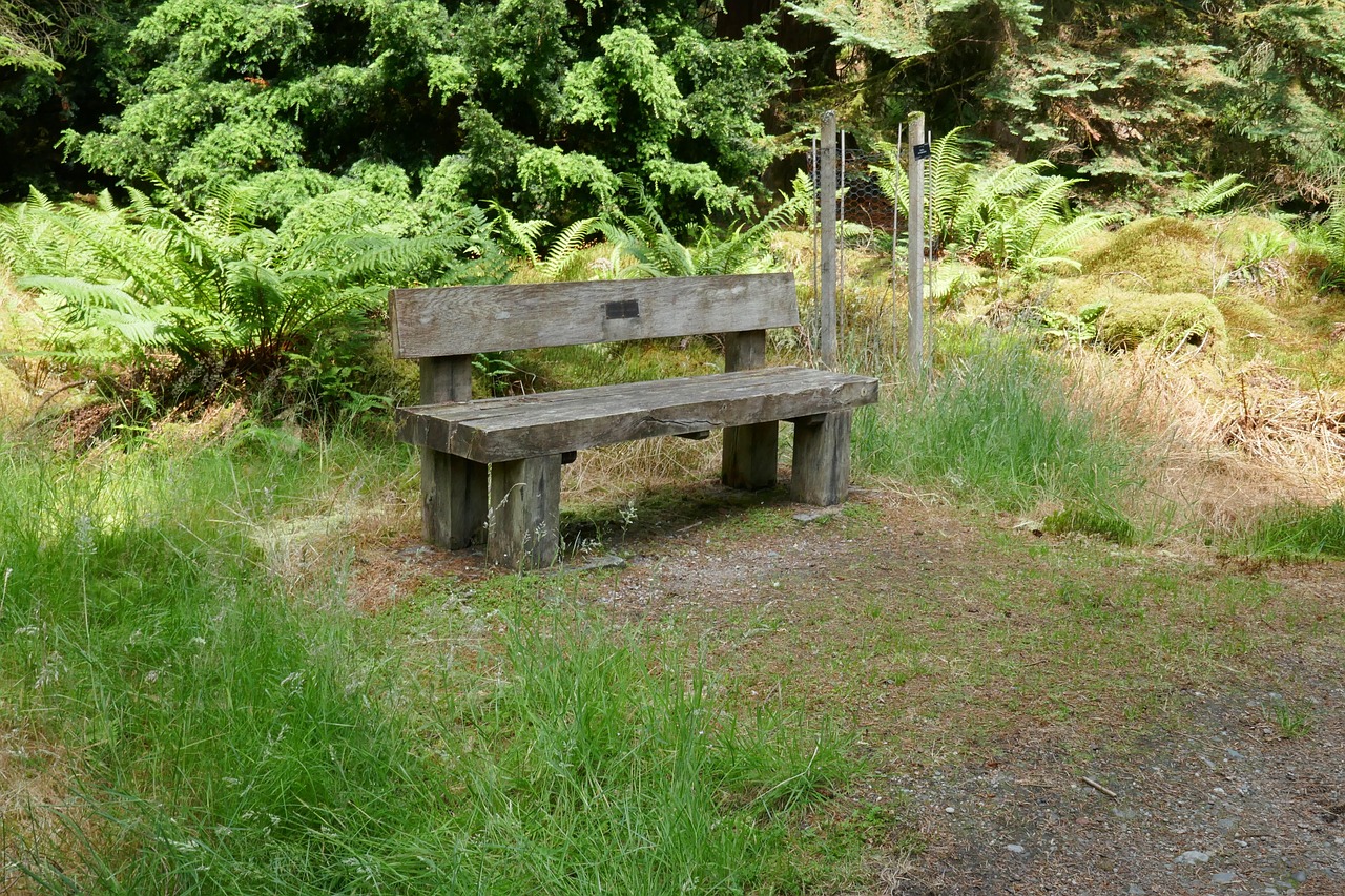 bench-chair-rest-free-photo-on-pixabay-pixabay
