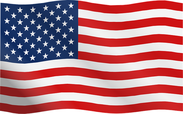 Free flag stars usa illustration