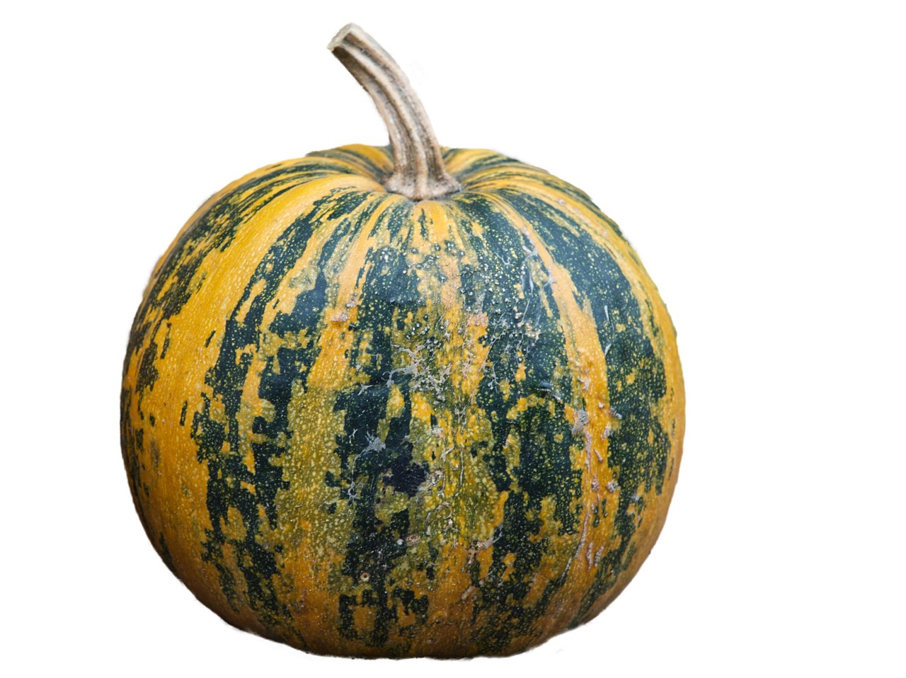 Abóbora Vegetal Saudável - Foto gratuita no Pixabay - Pixabay