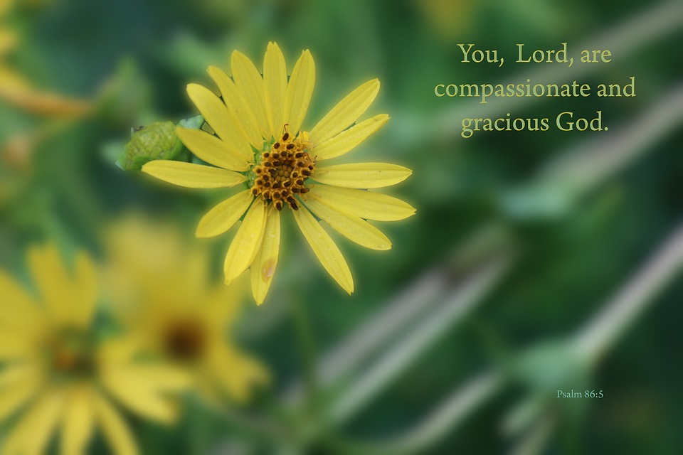 Bible Scripture Christian - Free photo on Pixabay - Pixabay