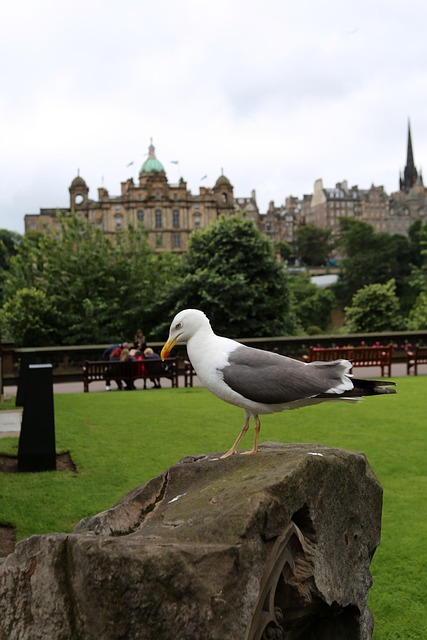 Free Scott Monument Park photo and picture