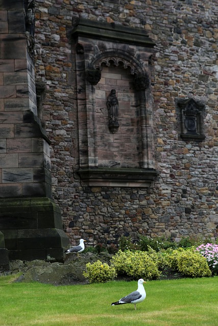 Free Britain Edinburgh photo and picture