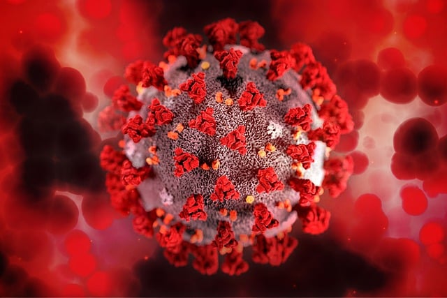 Free coronavirus virus pandemic illustration