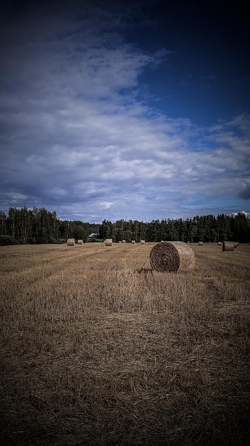Campo, Rural, Heno, Al Aire Libre
