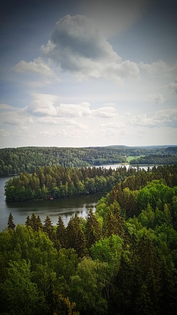 Lago, Bosque, Naturaleza, Árboles, Agua