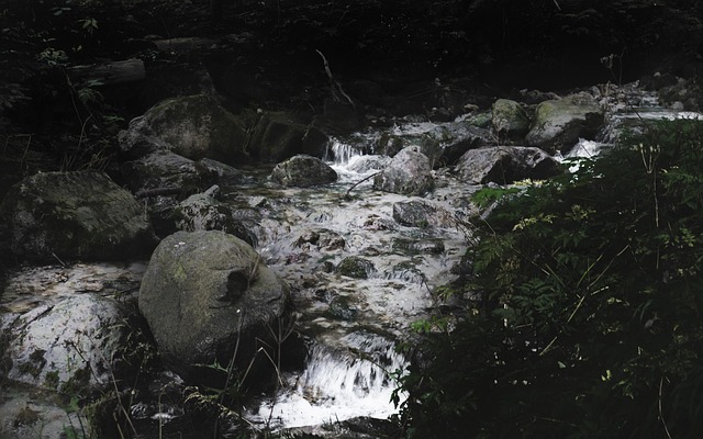 Temný, Náladový, Krajina, Příroda