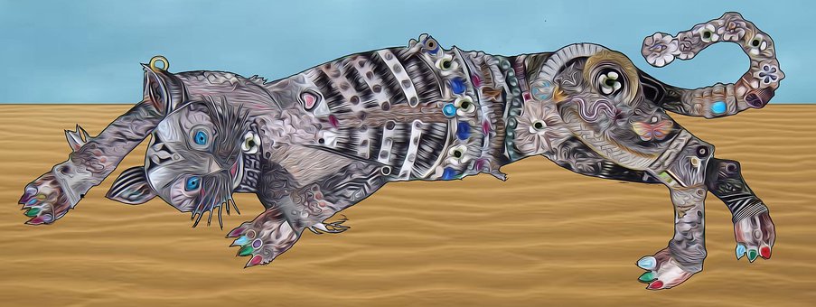 Gato, Praia, Tomar Sol, Areia, Animal