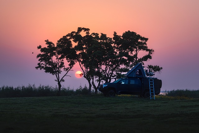 Free Car Travel photo and picture