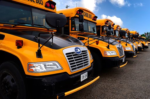 Free School Bus Transportation photo and picture