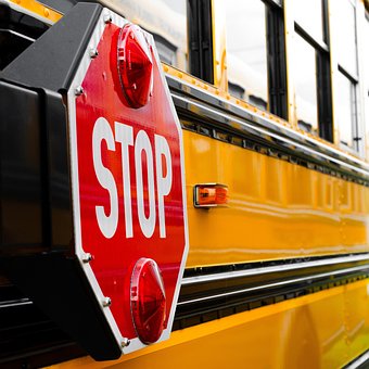 Free School Bus Transportation photo and picture