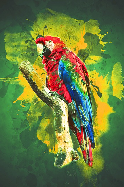 Free scarlet macaw parrot bird illustration