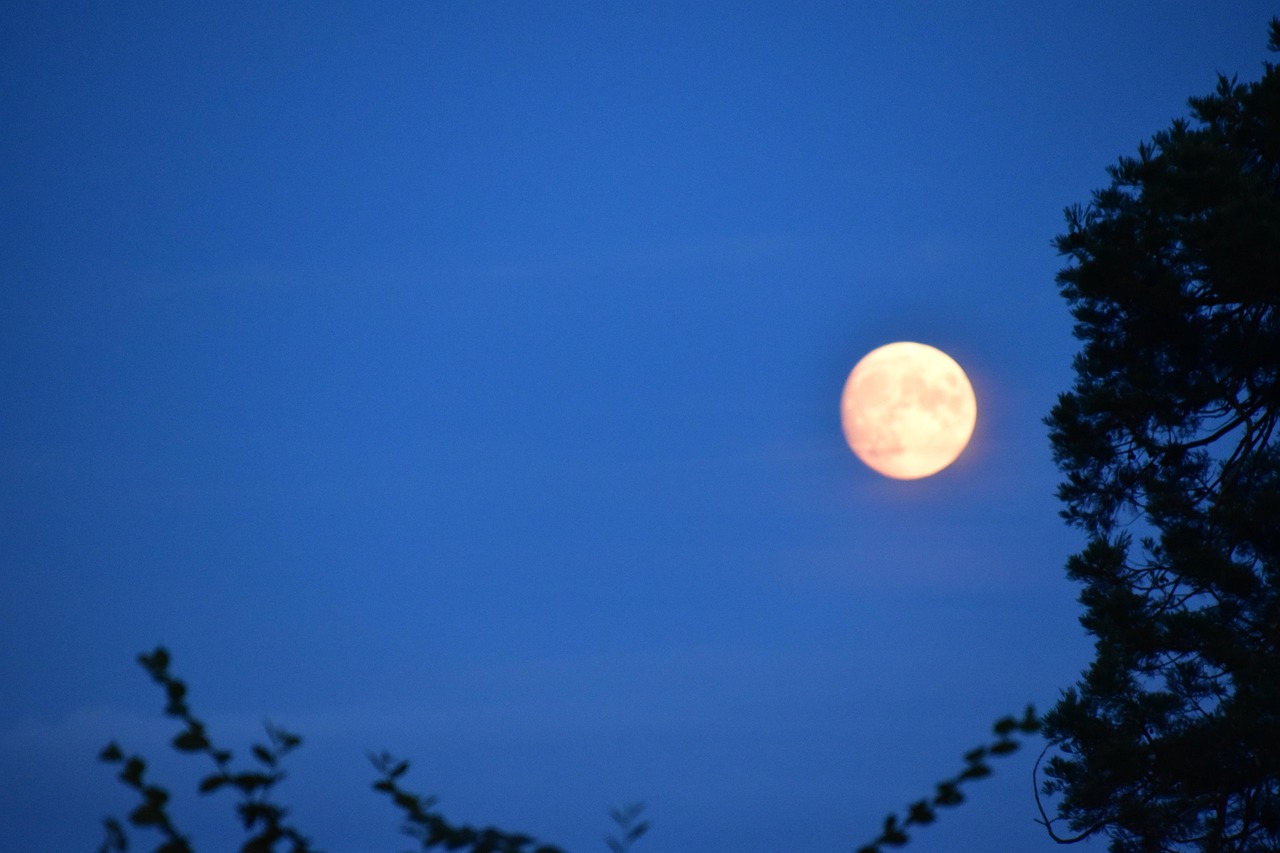 Moon Full Shines - Free photo on Pixabay - Pixabay