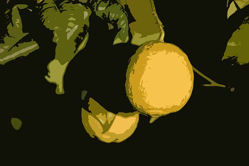Free Lemon Fruit illustration and picture