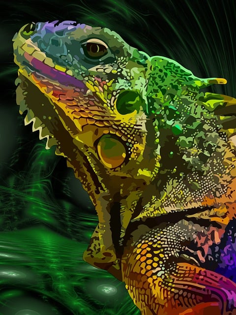 Free Chameleon Reptile illustration and picture